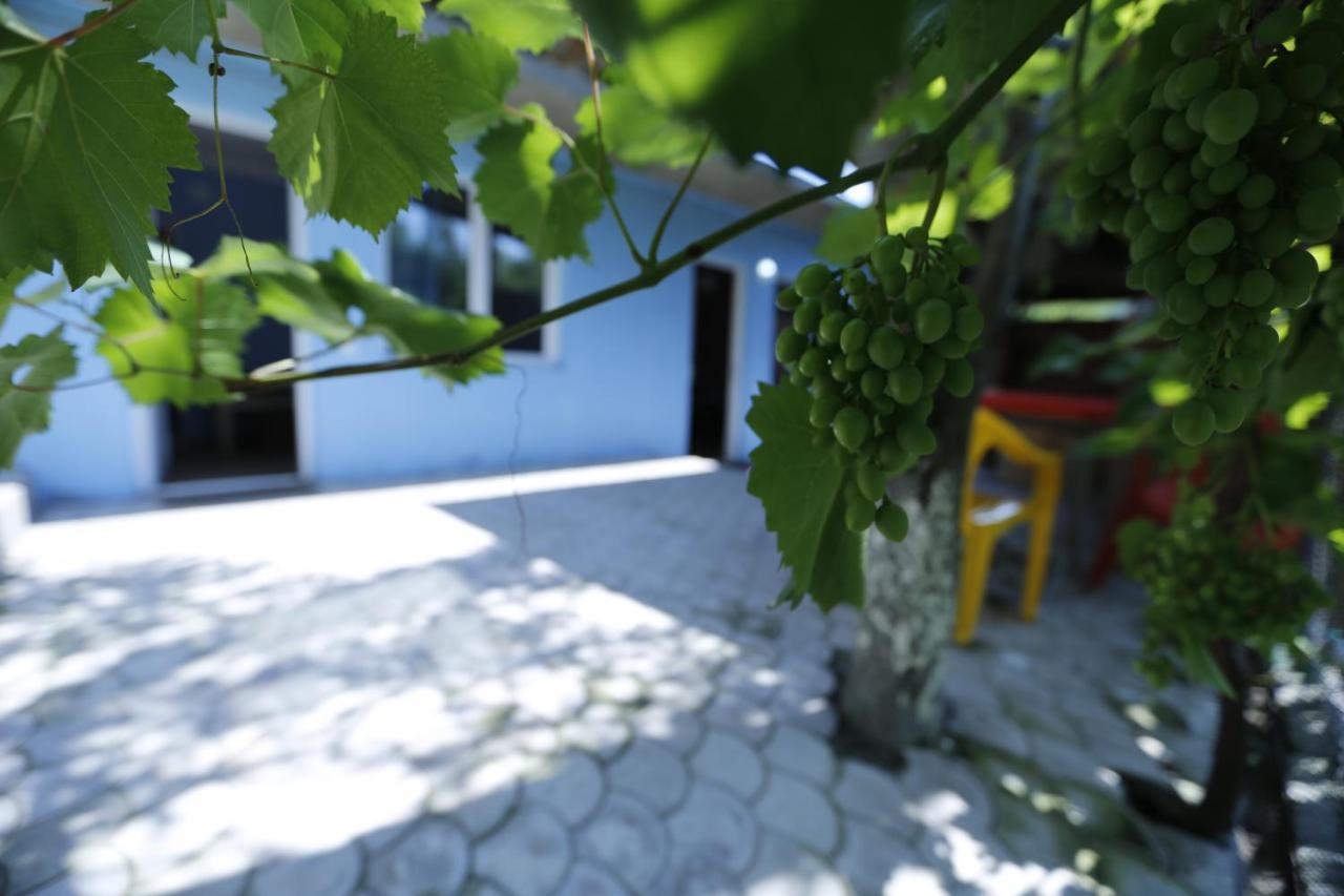 Lilia guesthouse Sighnaghi Eksteriør billede
